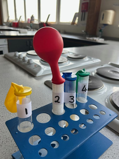 A blue stand with four tubes with different coloured balloonss