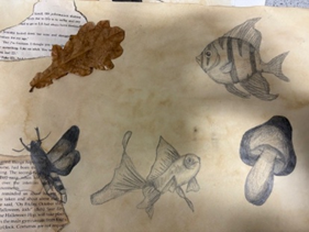 A drawing of fish and oak leaves on a piece of paper