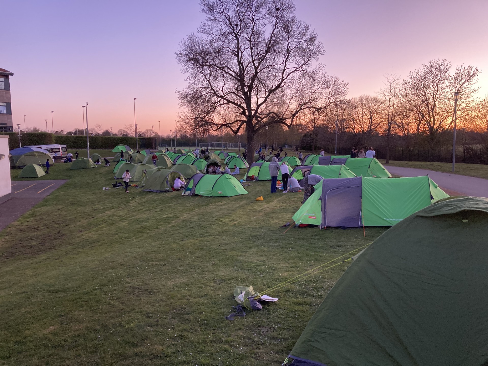 tents at the DofE Camp