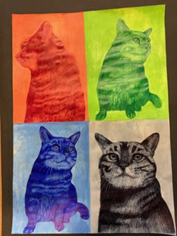  group of  four cats on a colored background