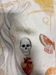 A drawing of a skull and butterfly