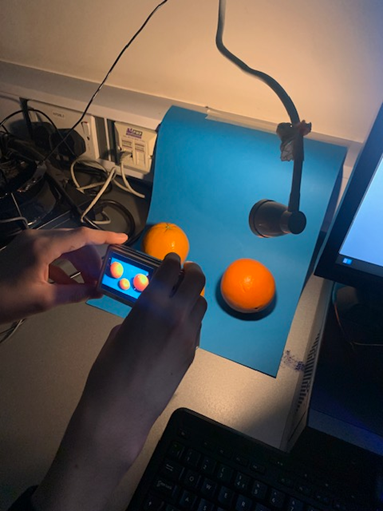 A person taking a picture of oranges against a blue background
