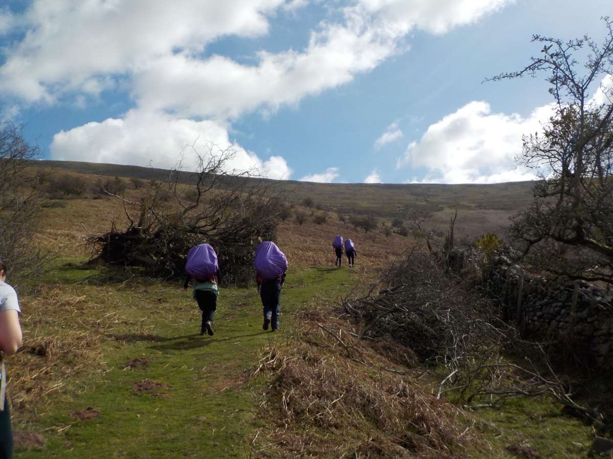 four students hiking with purple backpacks
