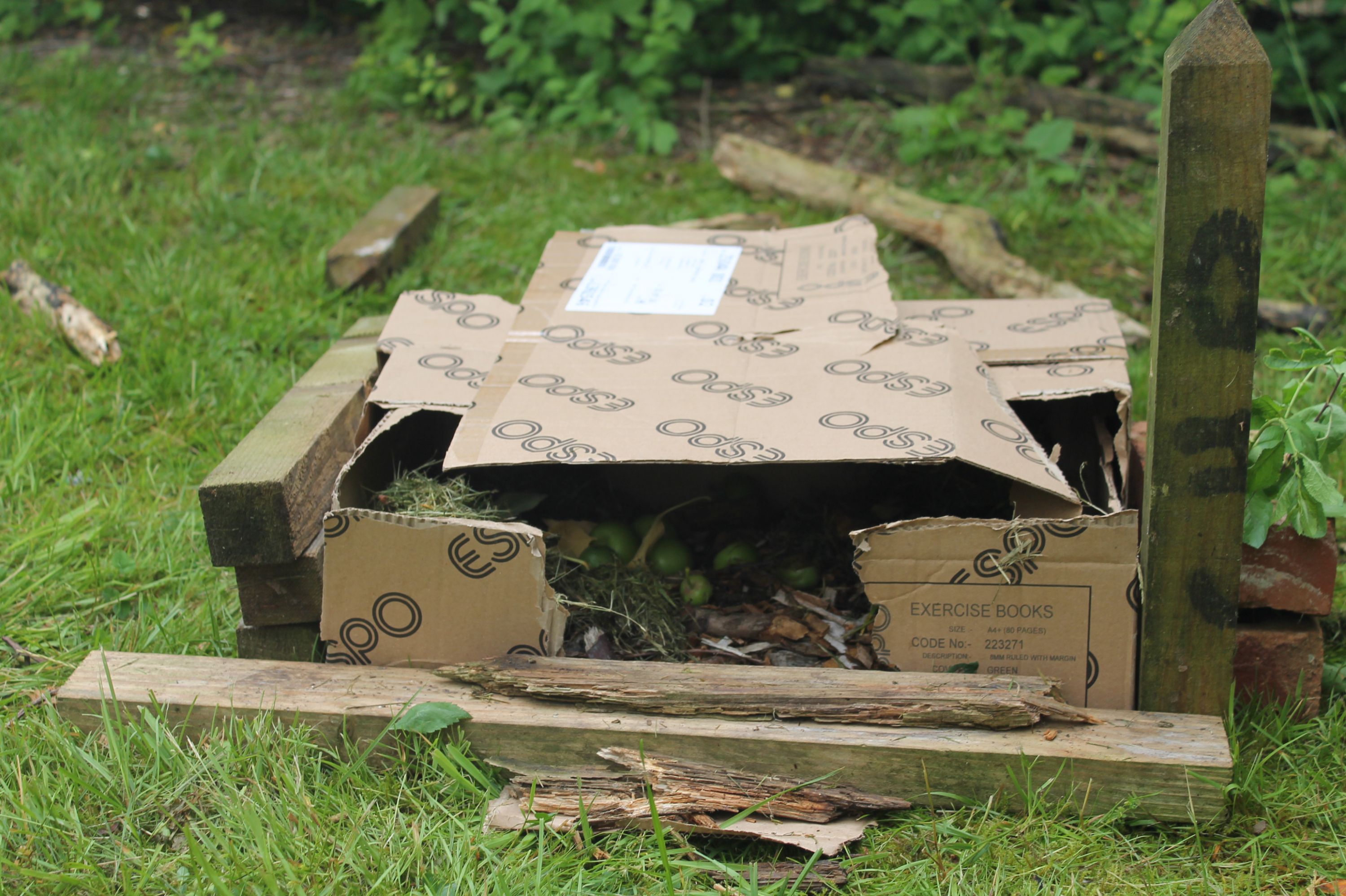 Photograph of a makeshift outdoor shelter constructed from flattened cardboard boxes and wooden planks on grass. The shelter appears to be a small, temporary structure, possibly for wildlife or gardening purposes, with visible labels and text on the cardboard.
