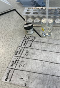 a whiteboard where results are recorded