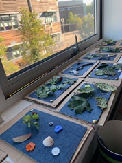 A group of objects on  a table with a blue background 