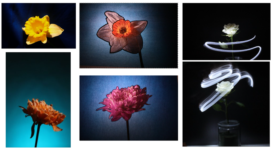 Images of flowers
