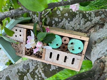 a insect hotel made of wood on a branch