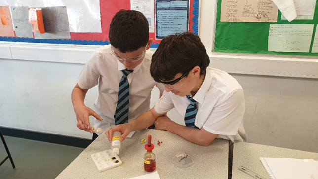 two students completing food tests