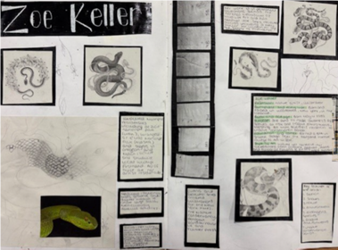 A collage of a snake