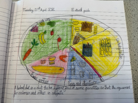 Hand-drawn pie chart illustrating an eatwell guide with sections for fruit and vegetables, carbohydrates, dairy and alternatives, and beans and protein, each coloured differently and containing relevant food illustrations. The chart emphasises balanced diet components with labels and a brief explanation about meeting calorie and nutrient requirements.