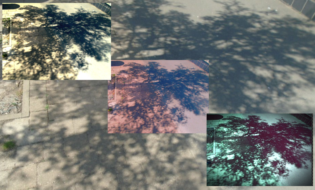 Photograph showing tree shadows cast on a paved surface with three smaller inset photos applying different colour filters: sepia, pinkish, and greenish tones. The composition highlights variations in shadow texture and lighting effects created by each filter on the same scene.