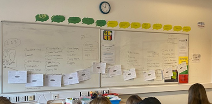 Year 12 visuals on a board to revise analysing the theories of ageing i