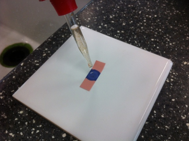 Photograph showing a close-up of a laboratory setup with a pipette dispensing liquid onto a small rectangular test strip placed on a white square dish. The test strip has a blue circular area in the centre, indicating a possible chemical reaction or sample application on a speckled black countertop 