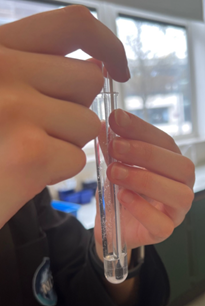 a pair of hands holding a test tube