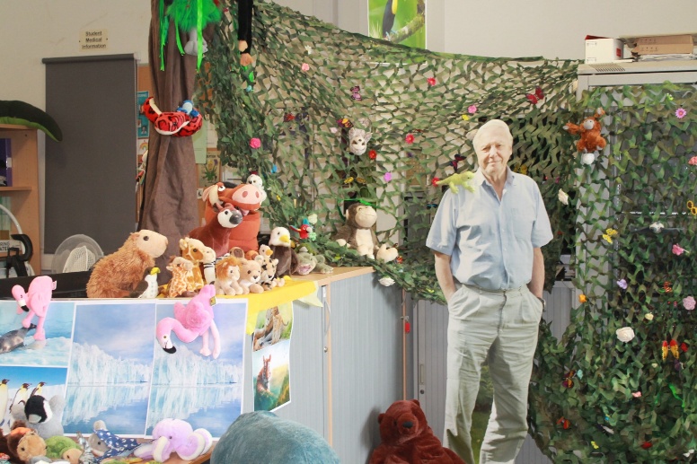 Photograph of a cardboard cut out of David Attenborough standing in a room decorated with various stuffed animals and camouflage netting on walls. The scene includes colourful animal toys such as flamingos, monkeys, and bears, arranged on shelves and cabinets, creating a playful, jungle-themed environment.