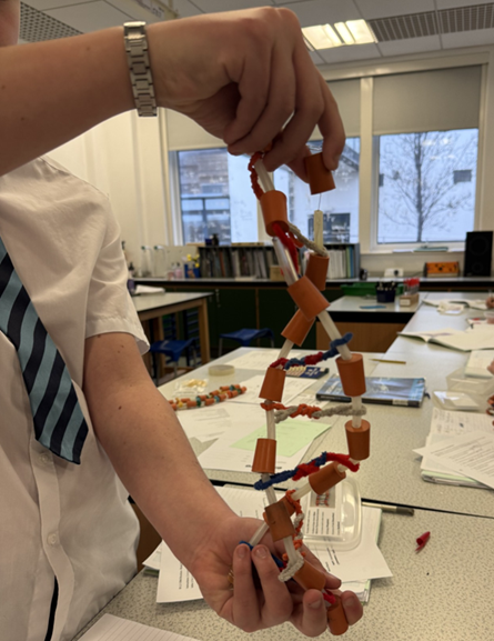 A person holding a model of a structure