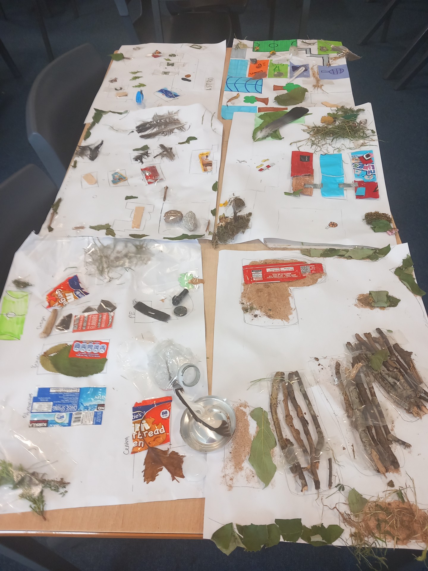 hotograph of a classroom table displaying multiple white sheets with various natural and man-made objects arranged on them, likely part of an educational project or nature study. Objects include leaves, twigs, packaging, and small containers, organised in clusters or patterns, highlighting contrasts between natural materials and litter.