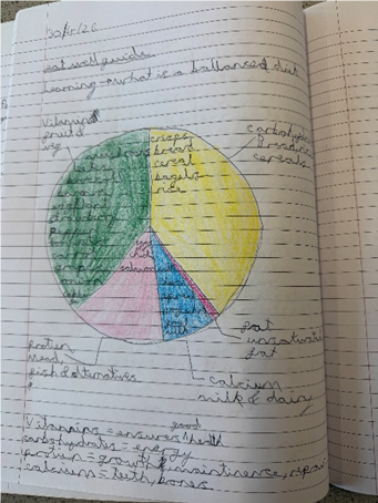 Hand-drawn pie chart in a notebook illustrating different categories with sections coloured yellow, green, blue, and pink. Labels and handwritten notes surround chart, detailing data distribution and category descriptions.