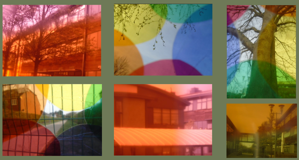 A collage of six photographs featuring outdoor scenes with trees, buildings, and fences, each overlaid with translucent, overlapping circles in various colours including orange, blue, green, and purple. The arrangement highlights contrasts between natural elements and urban structures, with colour overlays adding an artistic, abstract effect to each section.