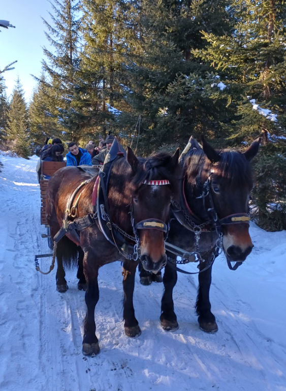 students enjoying a horse drawn carriage ride through the snow