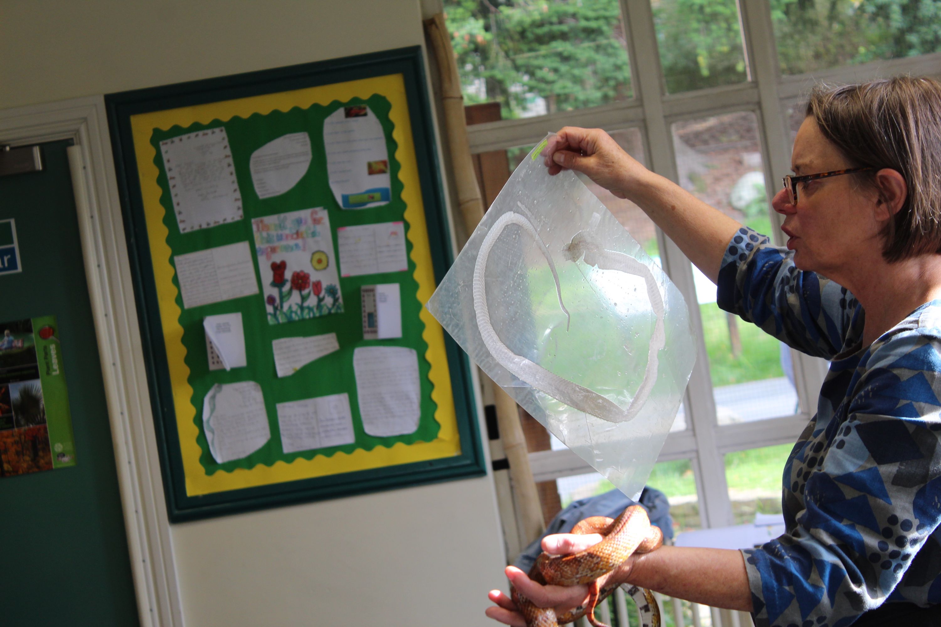 a member of staff at the botanical gardens holding a snake  explaining all about it  