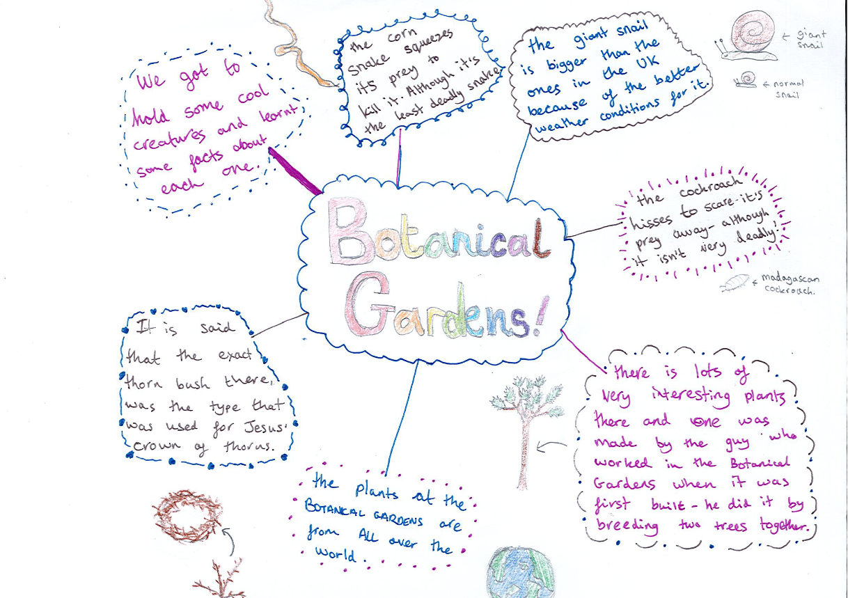 An example  of a Year 7 student’s work after  the  Birmingham Botanical Gardens trip