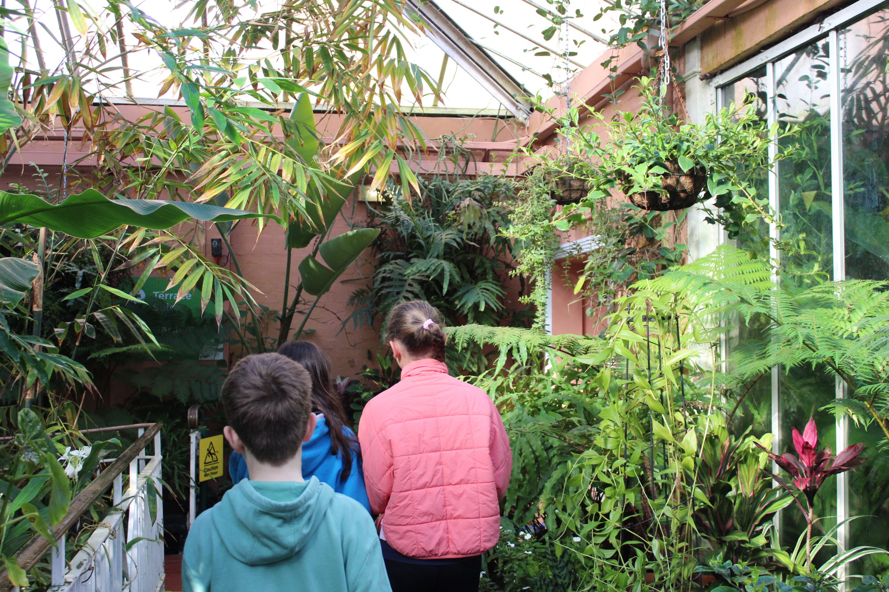 three students exploring the botanical gardens