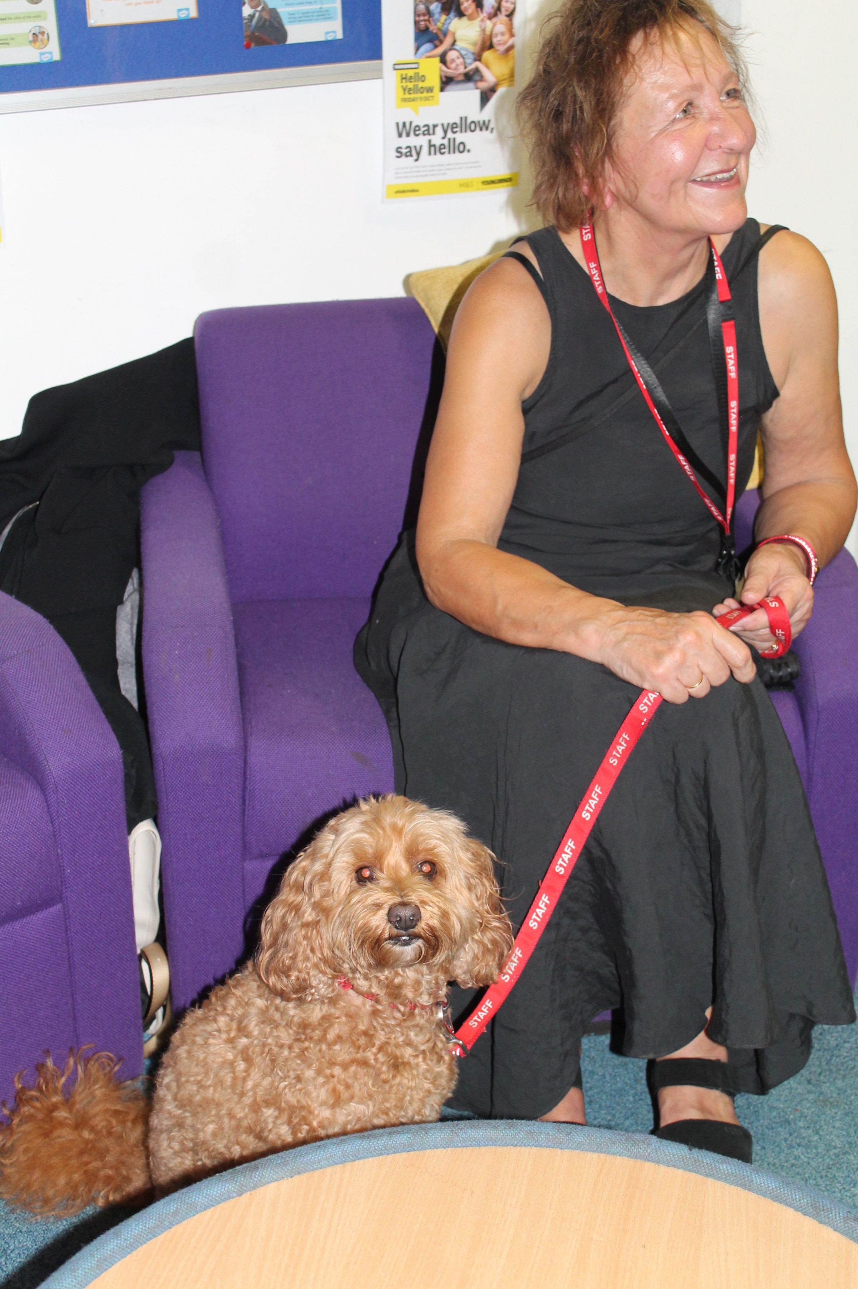 Photograph shows woman seated beside a small curly-haired dog, both wearing red lanyards.  Purple chairs, round wooden table and visible magazine or leaflet.