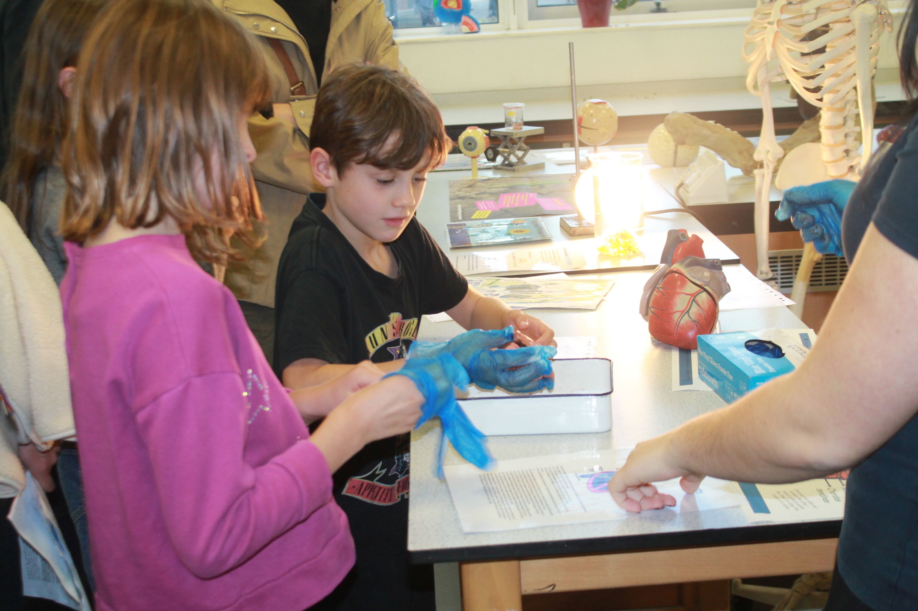 a boy holding a heart in the science lab