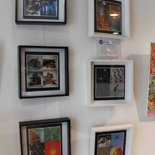 TEST Photo Album